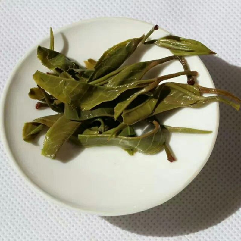 古树普洱茶特级