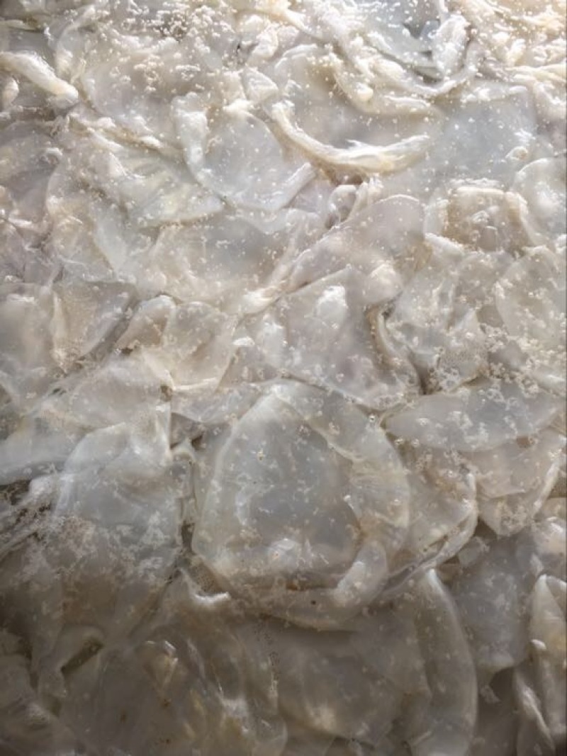 海蜇