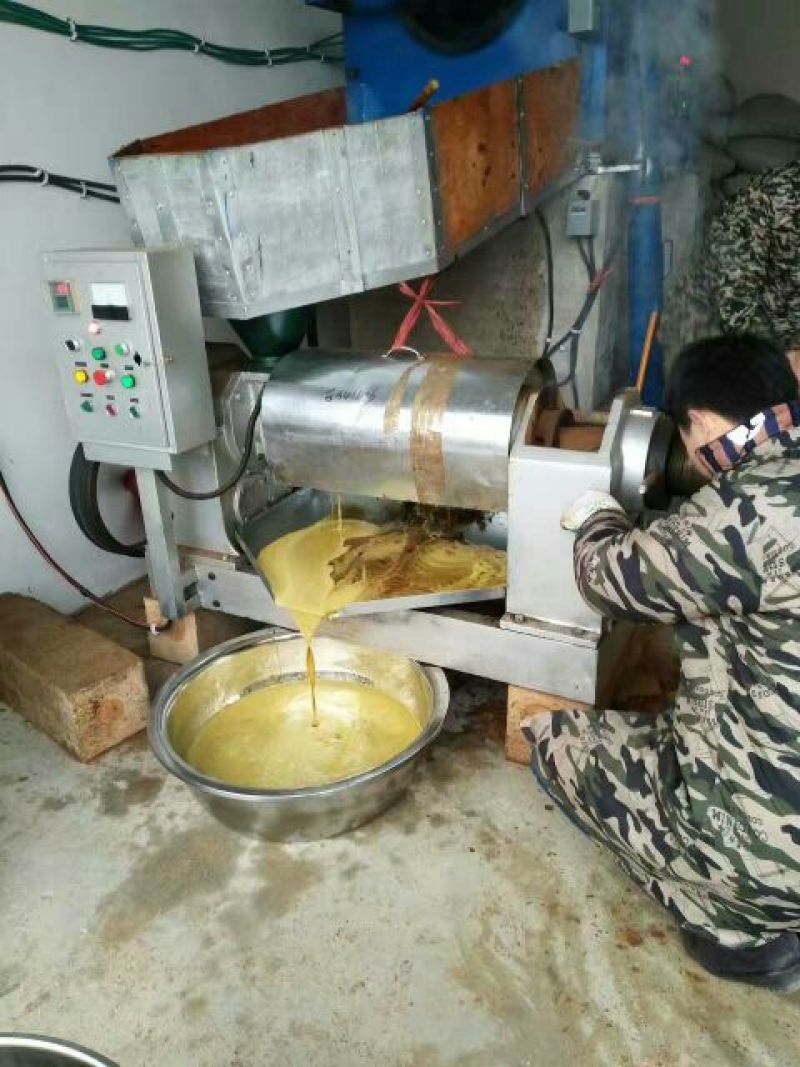 压榨菜籽油一级