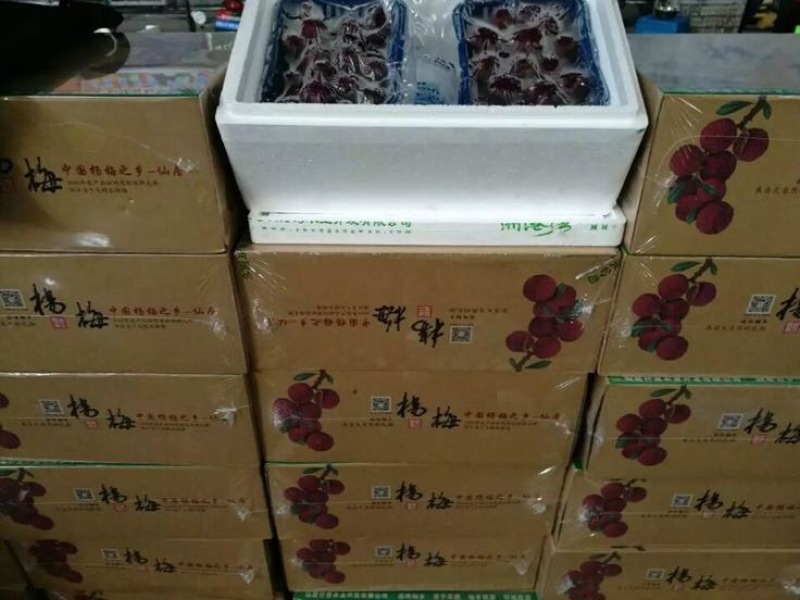 杨梅