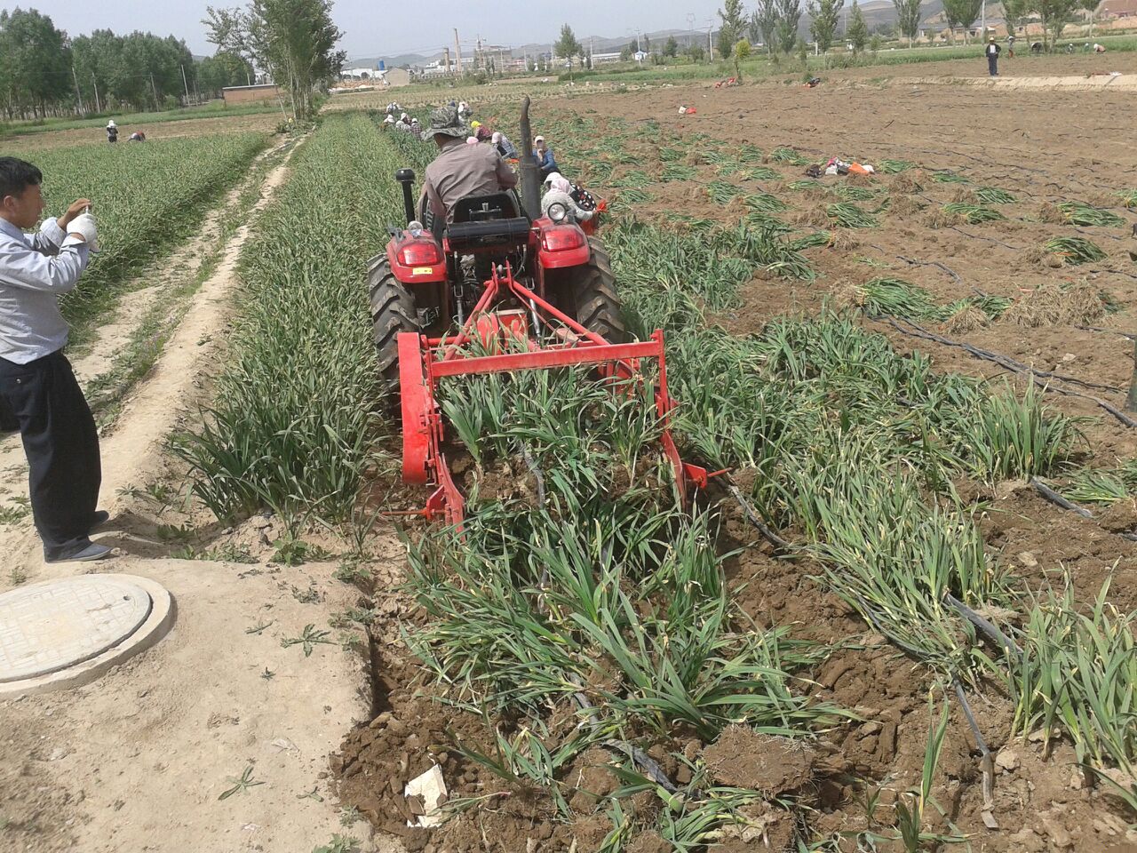 Ĺԭ