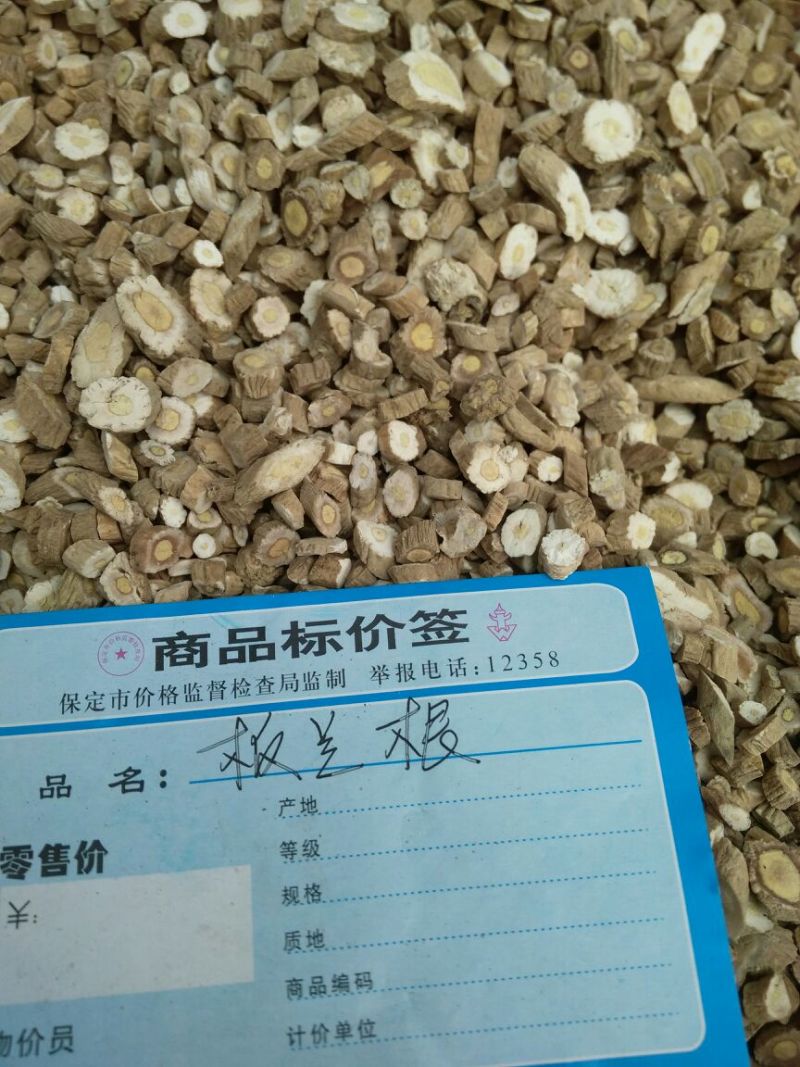 板蓝根各种规格选货河北干货产地直销量大从优