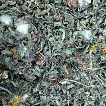 蒲公英3~6cm