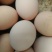 土鸡蛋食用50g以下