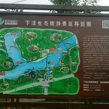 冬枣树苗80~110cm