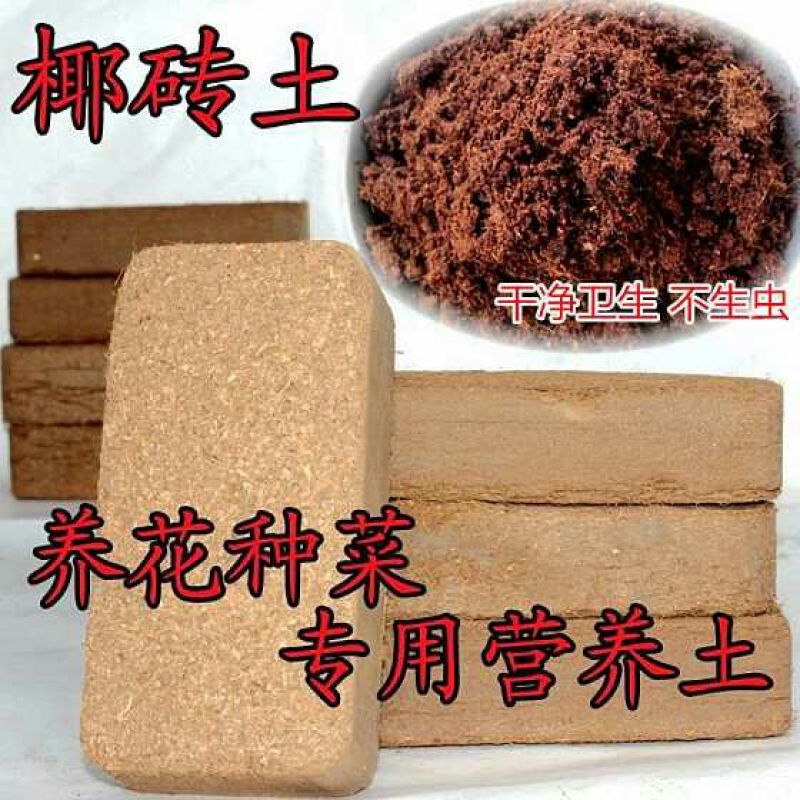 育苗基质椰砖线上交易椰砖多肉养花种菜育苗专用