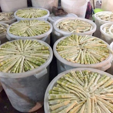苦笋