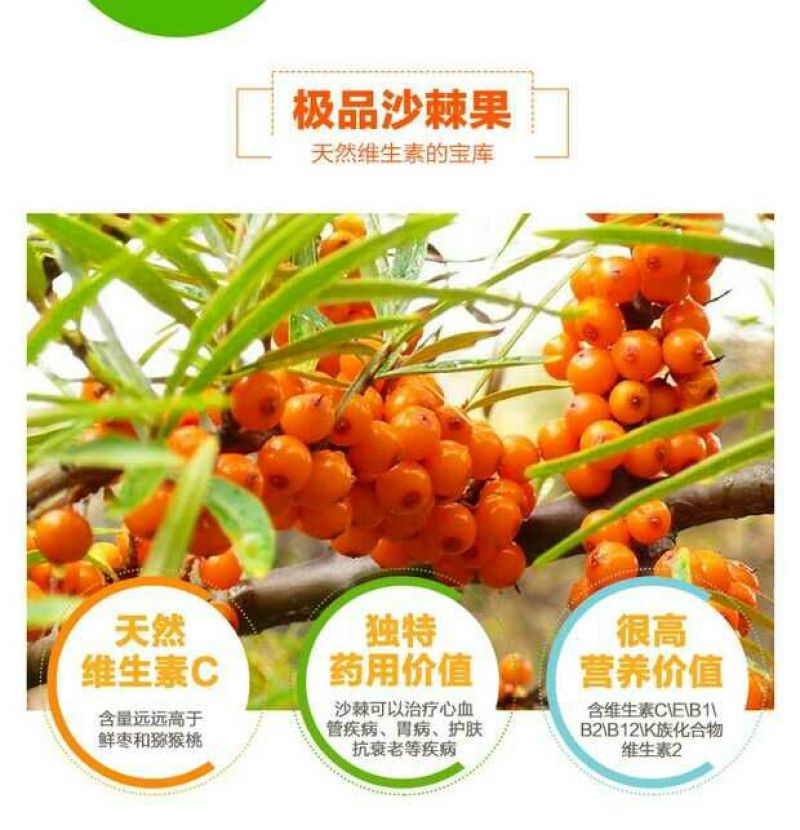 沙棘汁