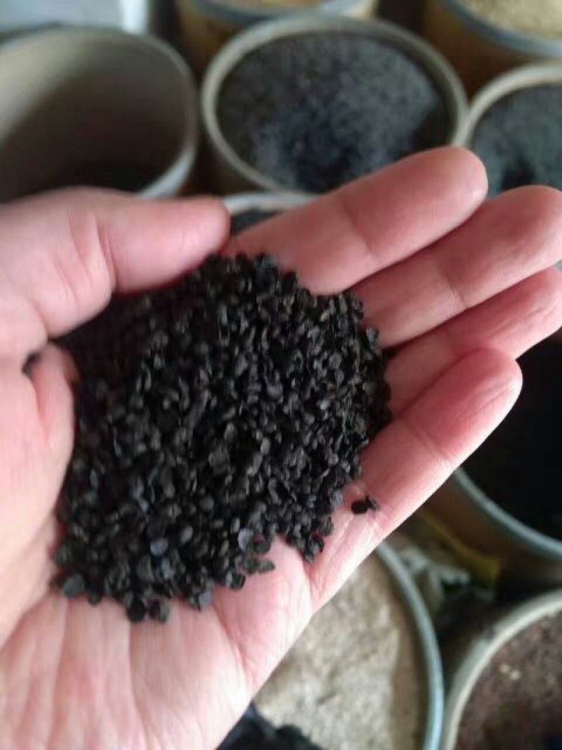 韭菜子水洗选货无杂质量大从优欢迎选购