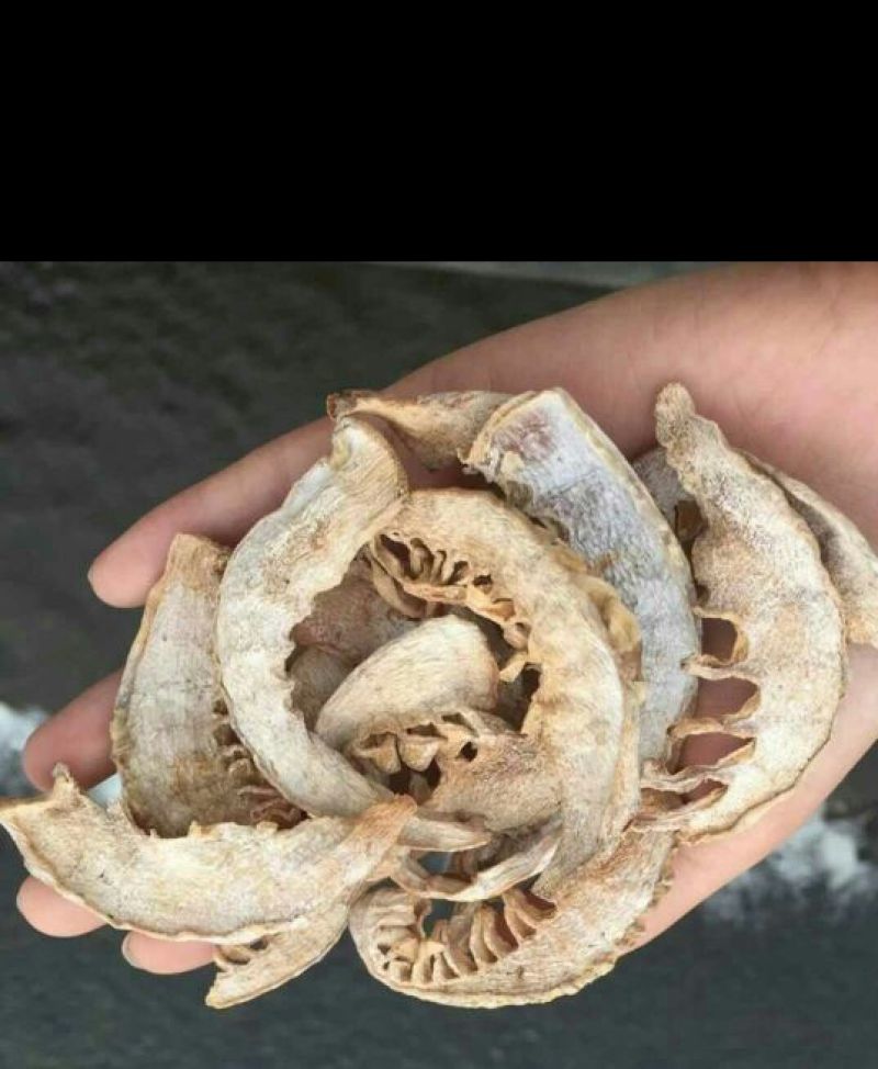 毛竹春笋10cm以下