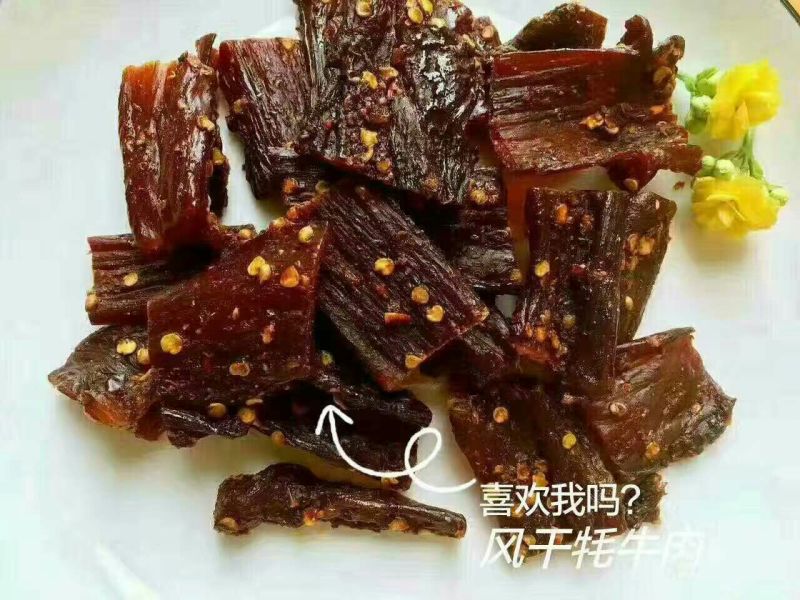 牛肉干牦牛肉冻库肉