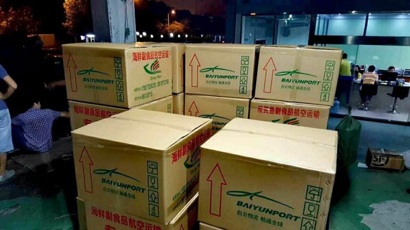 【鲈鱼苗】加州鲈鱼苗海鲈鱼苗-全程已经训化吃饲料价格实惠