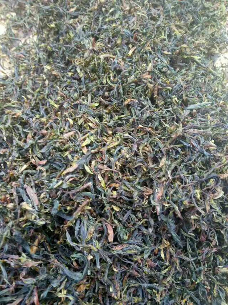 普洱茶特级