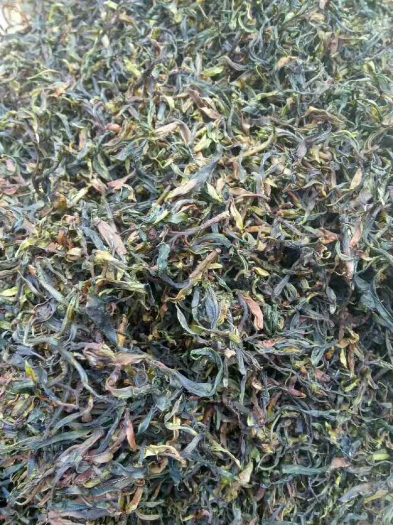 普洱茶特级