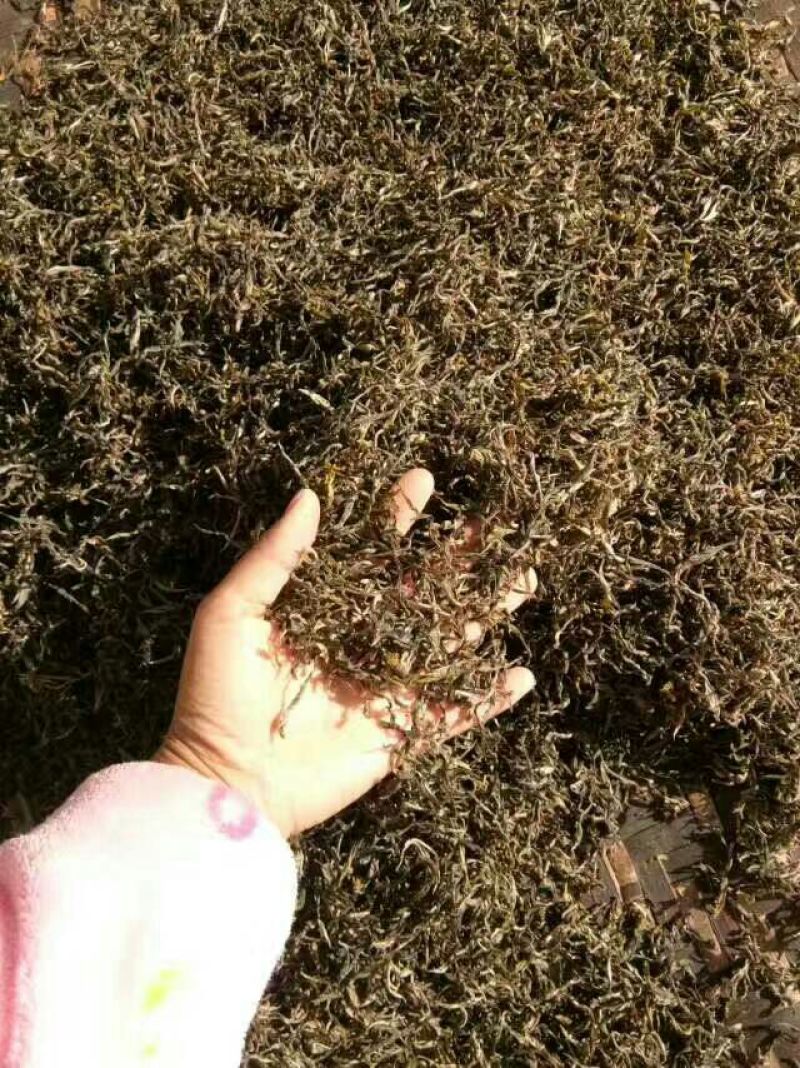 普洱茶特级