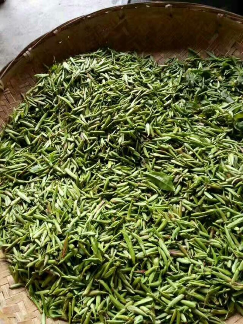 普洱茶特级
