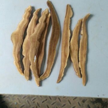 灵芝切片8~12公分