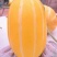 甜瓜0.5斤以上