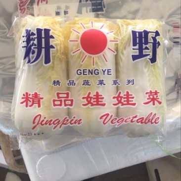 精品纯黄娃娃菜，高山娃娃菜质量非常好，耐运输
