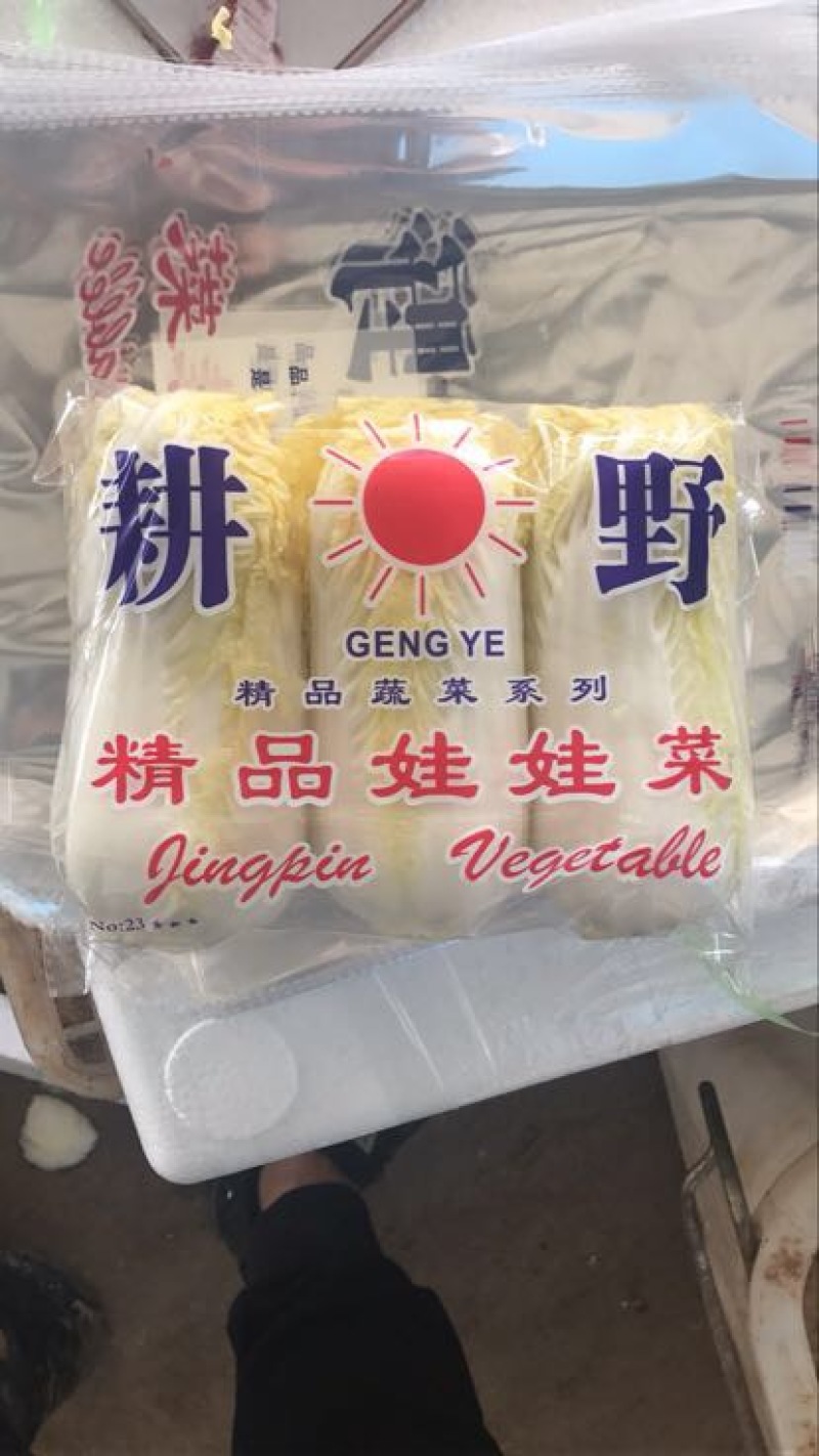 精品纯黄娃娃菜，高山娃娃菜质量非常好，耐运输