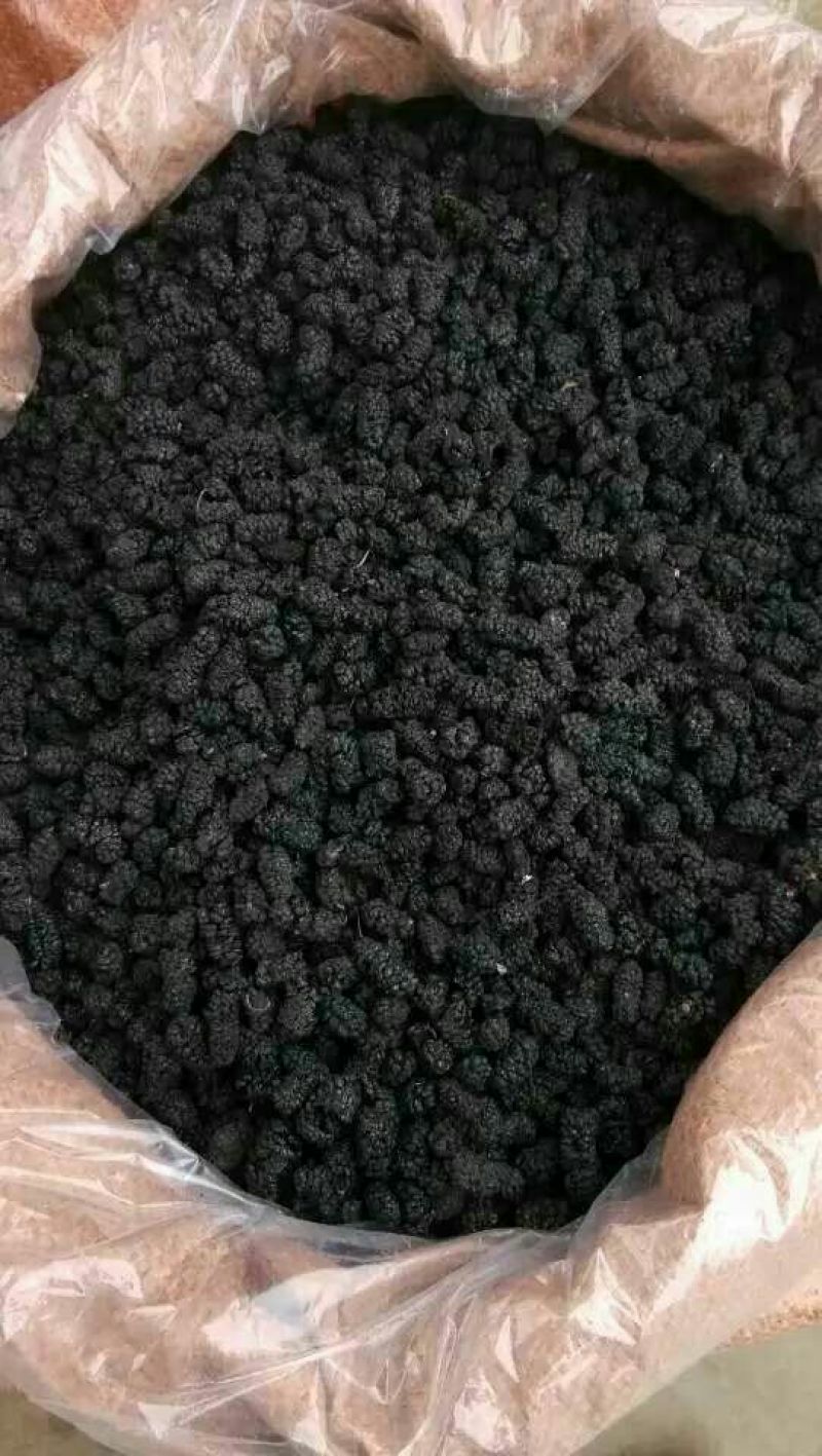 桑葚干