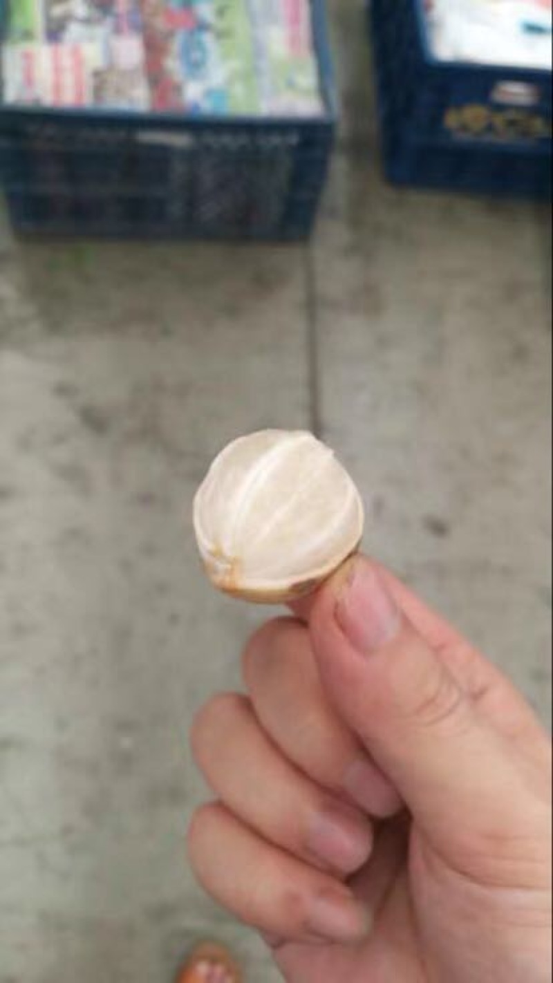 龙贡
