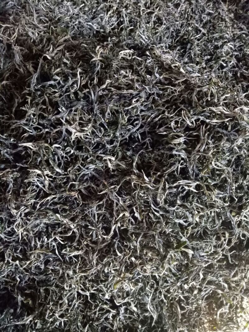 普洱茶一级