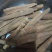薄肉桂散装一级