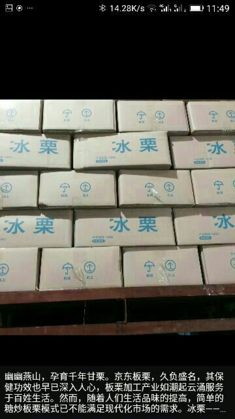 迁西板栗炒栗种特选