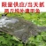 生态甲鱼