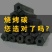 木炭95%以上烧烤炭