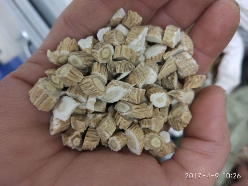 板蓝根选片