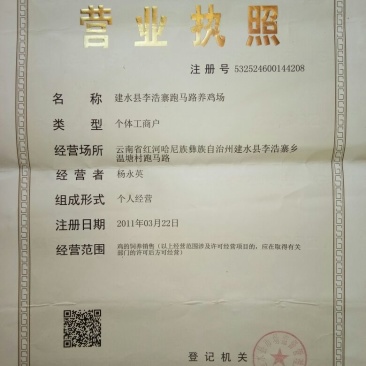 阉鸡苗500克以上脱温苗