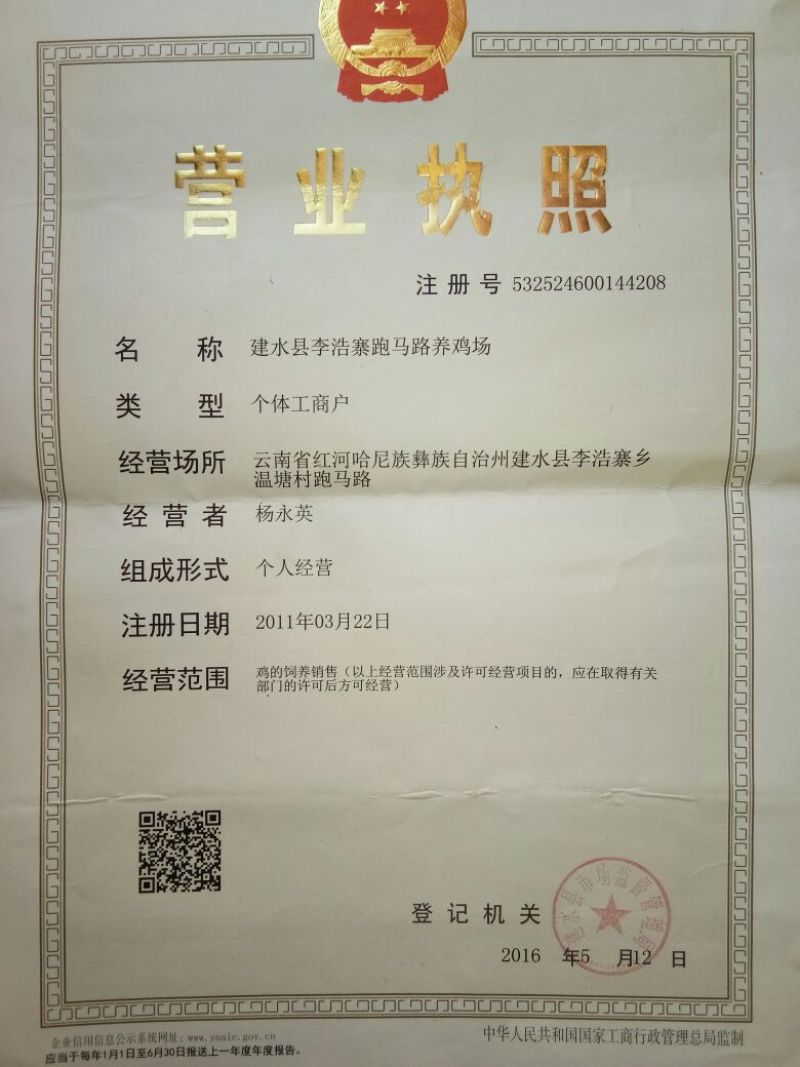 阉鸡苗500克以上脱温苗