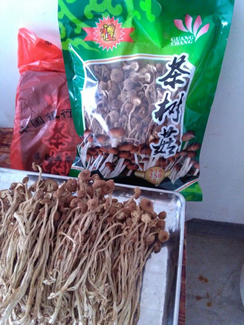 广昌茶树菇3号5号不开伞柄细嫩香非福建茶树菇开伞菇