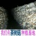 广昌茶树菇3号5号不开伞柄细嫩香非福建茶树菇开伞菇