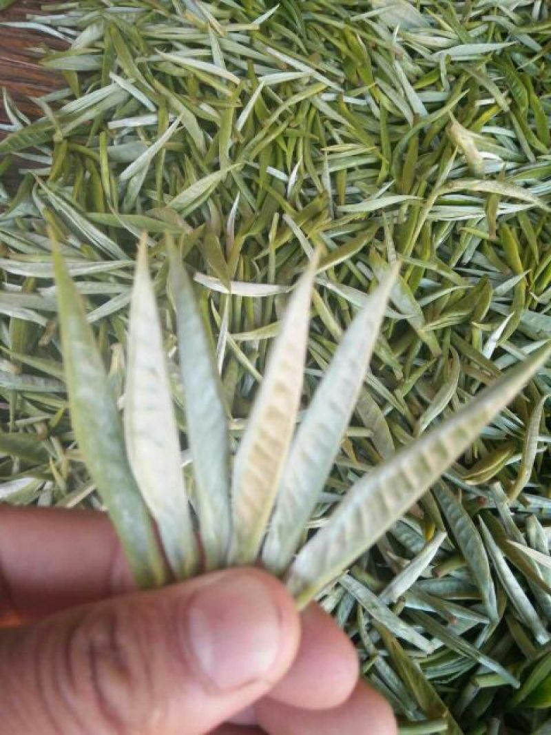 普洱茶一级
