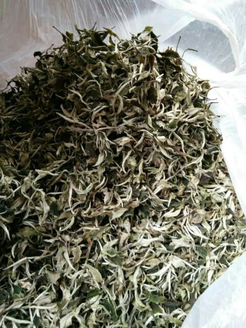 普洱茶一级