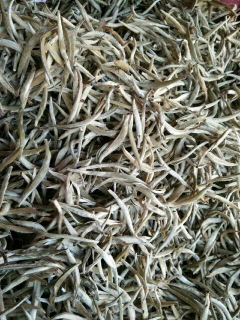 普洱茶一级