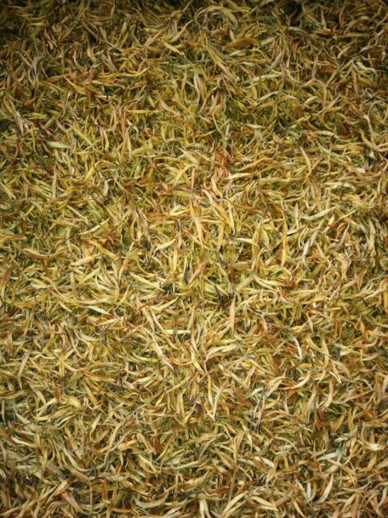 普洱茶一级