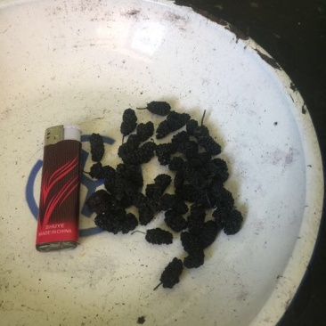 桑葚干