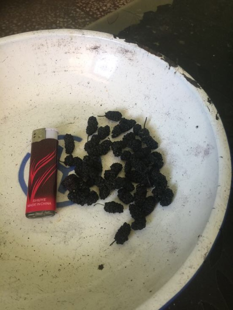 桑葚干