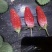 天仙醉草莓苗10~20cm