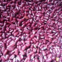 农家院无硫不抛光无农药肥料激素红豆小赤，红豆小赤豆药食两
