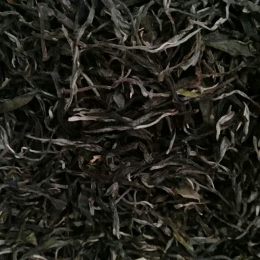 古树普洱茶特级