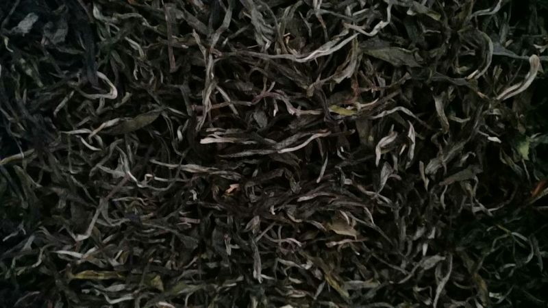 古树普洱茶特级