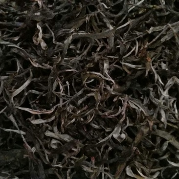 古树普洱茶特级