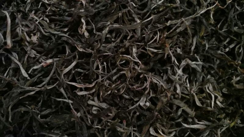 古树普洱茶特级