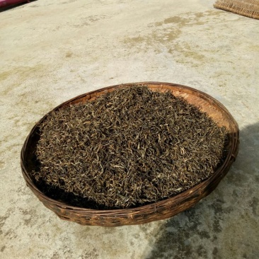 百年大树茶二级