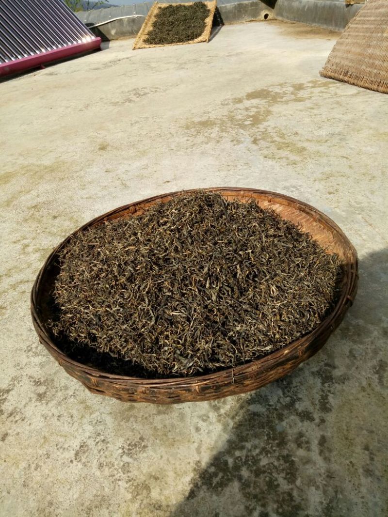 百年大树茶二级